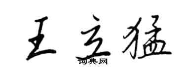 王正良王立猛行書個性簽名怎么寫