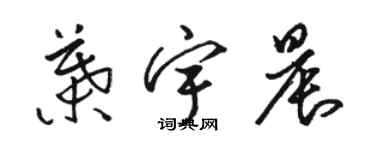 駱恆光葉宇晨草書個性簽名怎么寫