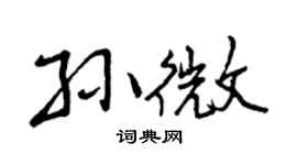 曾慶福孫微行書個性簽名怎么寫