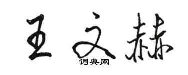 駱恆光王文赫行書個性簽名怎么寫