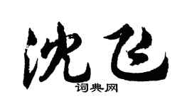胡問遂沈飛行書個性簽名怎么寫