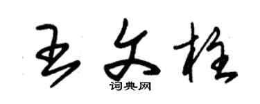 朱錫榮王文柱草書個性簽名怎么寫