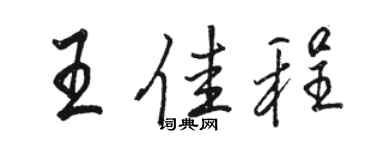 駱恆光王佳程行書個性簽名怎么寫