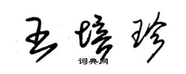 朱錫榮王培珍草書個性簽名怎么寫