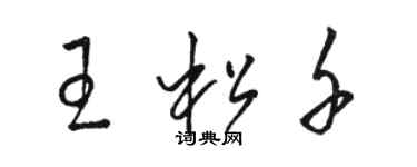 駱恆光王松千草書個性簽名怎么寫