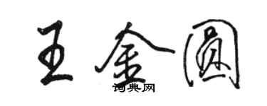 駱恆光王金圓行書個性簽名怎么寫