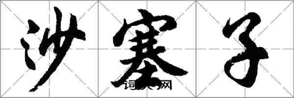 胡問遂沙塞子行書怎么寫