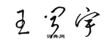 駱恆光王聞宇草書個性簽名怎么寫