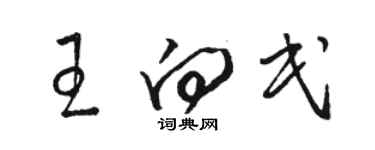 駱恆光王向民草書個性簽名怎么寫