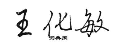 駱恆光王化敏行書個性簽名怎么寫