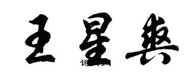 胡問遂王星爽行書個性簽名怎么寫
