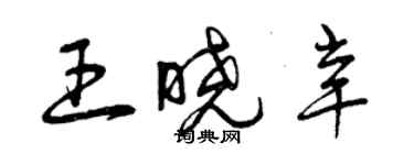 曾慶福王曉辛草書個性簽名怎么寫