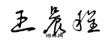 曾慶福王晨程草書個性簽名怎么寫