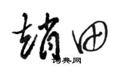 駱恆光趙田草書個性簽名怎么寫