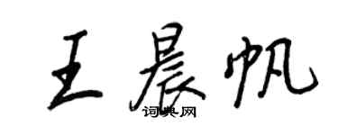 王正良王晨帆行書個性簽名怎么寫