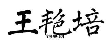 翁闓運王艷培楷書個性簽名怎么寫