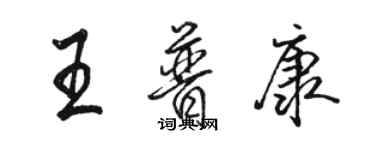 駱恆光王普康行書個性簽名怎么寫