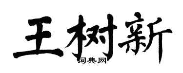 翁闓運王樹新楷書個性簽名怎么寫