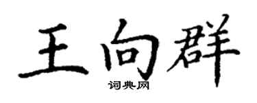 丁謙王向群楷書個性簽名怎么寫