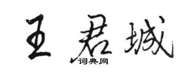 駱恆光王君城行書個性簽名怎么寫