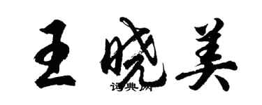 胡問遂王曉美行書個性簽名怎么寫