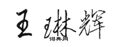 駱恆光王琳輝行書個性簽名怎么寫
