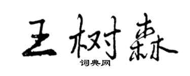 曾慶福王樹森行書個性簽名怎么寫