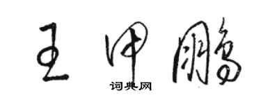 駱恆光王甲鵬草書個性簽名怎么寫