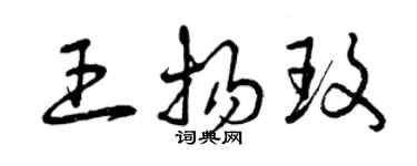 曾慶福王揚玫草書個性簽名怎么寫