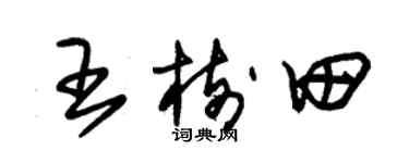 朱錫榮王樹田草書個性簽名怎么寫