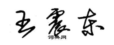 朱錫榮王震東草書個性簽名怎么寫