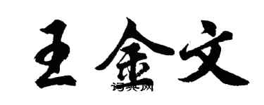 胡問遂王金文行書個性簽名怎么寫
