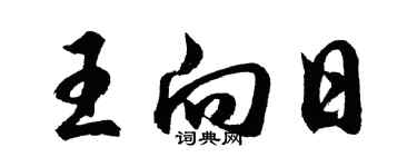 胡問遂王向日行書個性簽名怎么寫