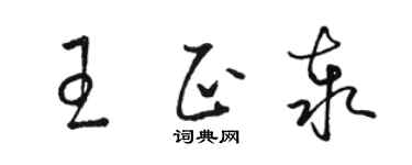 駱恆光王正泰草書個性簽名怎么寫