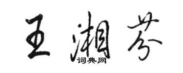 駱恆光王湘芬行書個性簽名怎么寫