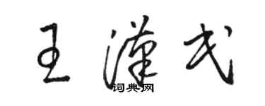 駱恆光王漢民草書個性簽名怎么寫