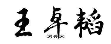 胡問遂王卓韜行書個性簽名怎么寫