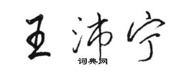 駱恆光王沛寧行書個性簽名怎么寫