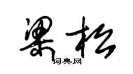 朱錫榮梁松草書個性簽名怎么寫