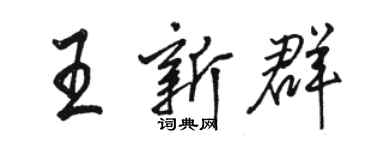 駱恆光王新群行書個性簽名怎么寫