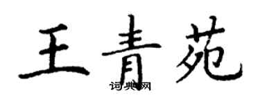 丁謙王青苑楷書個性簽名怎么寫