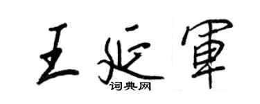 王正良王延軍行書個性簽名怎么寫