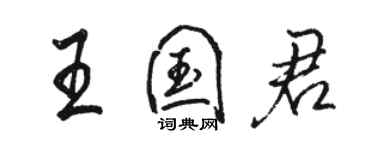 駱恆光王國君行書個性簽名怎么寫