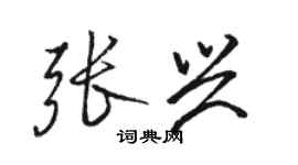 駱恆光張興行書個性簽名怎么寫