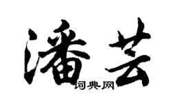 胡問遂潘芸行書個性簽名怎么寫