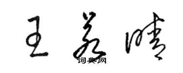駱恆光王若晴草書個性簽名怎么寫
