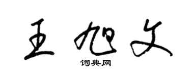 梁錦英王旭文草書個性簽名怎么寫