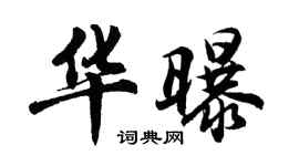 胡問遂華曝行書個性簽名怎么寫
