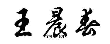 胡問遂王晨春行書個性簽名怎么寫