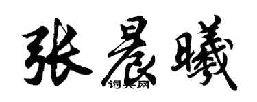 胡問遂張晨曦行書個性簽名怎么寫